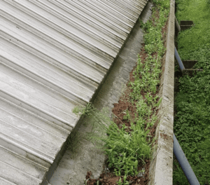 Happy customers in Henlow who trust The Roof Moss Cleaners for gutter cleaning services